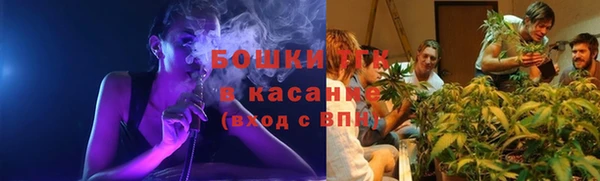 индика Беломорск