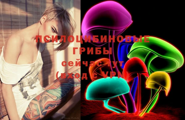 первитин Белоозёрский