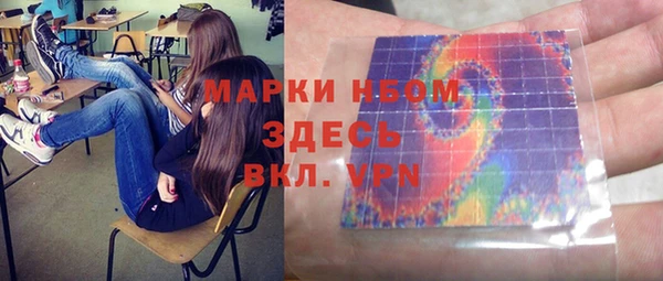 индика Беломорск