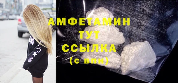 индика Беломорск