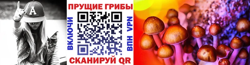 гидра онион  Буинск  Галлюциногенные грибы Cubensis 